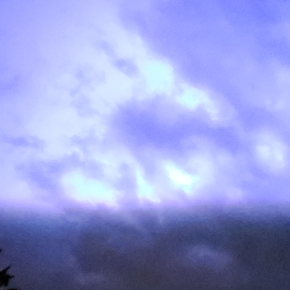 Meet your Posher, Cheri - Picture 2 of 2